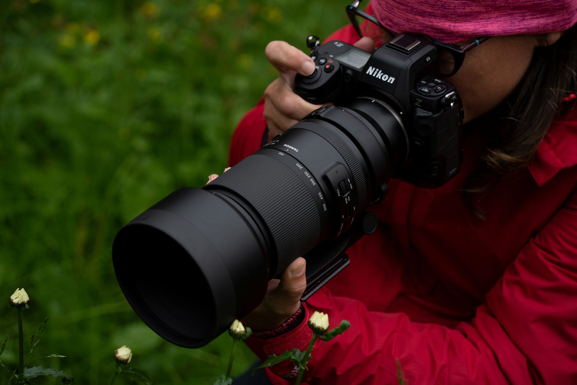 How to Choose Nikon Z Mount Lenses for South African Photography