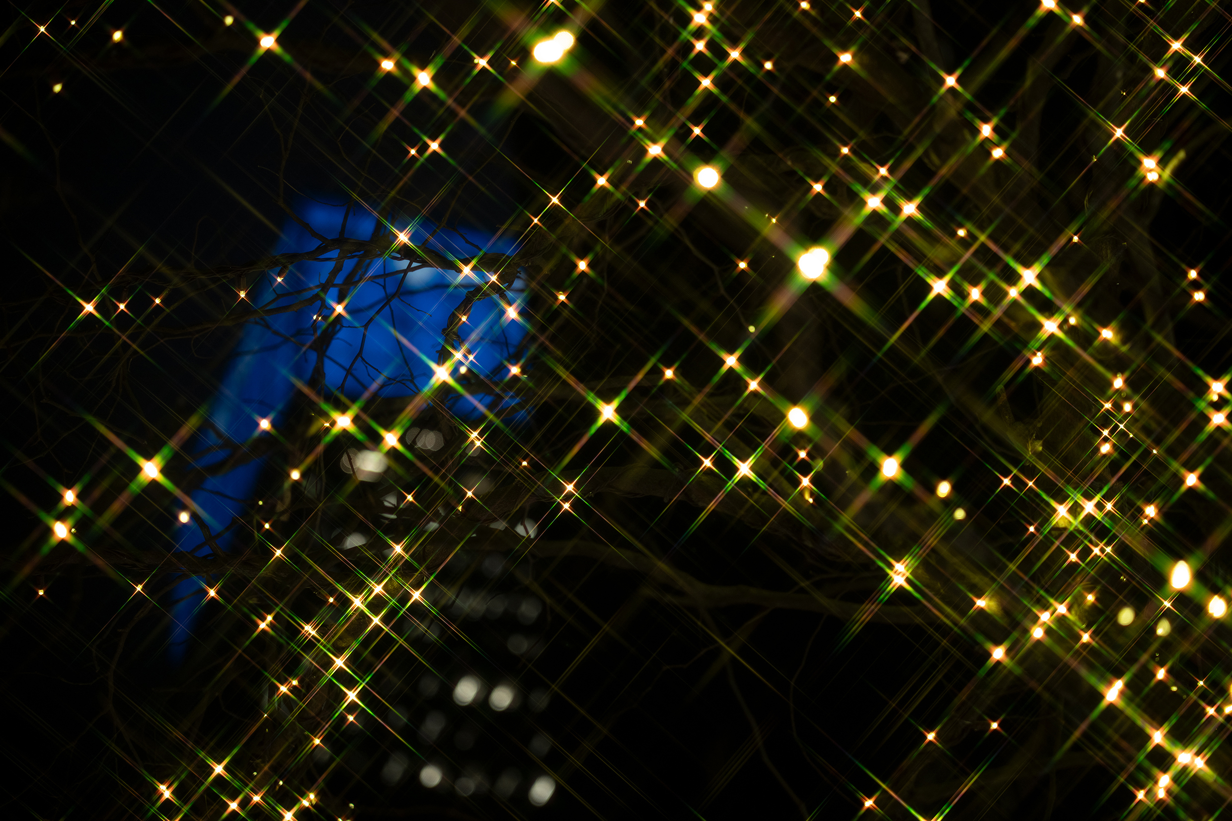 How to Photograph Illumination in South Africa: Festive Lights, Settings and Lens Choice