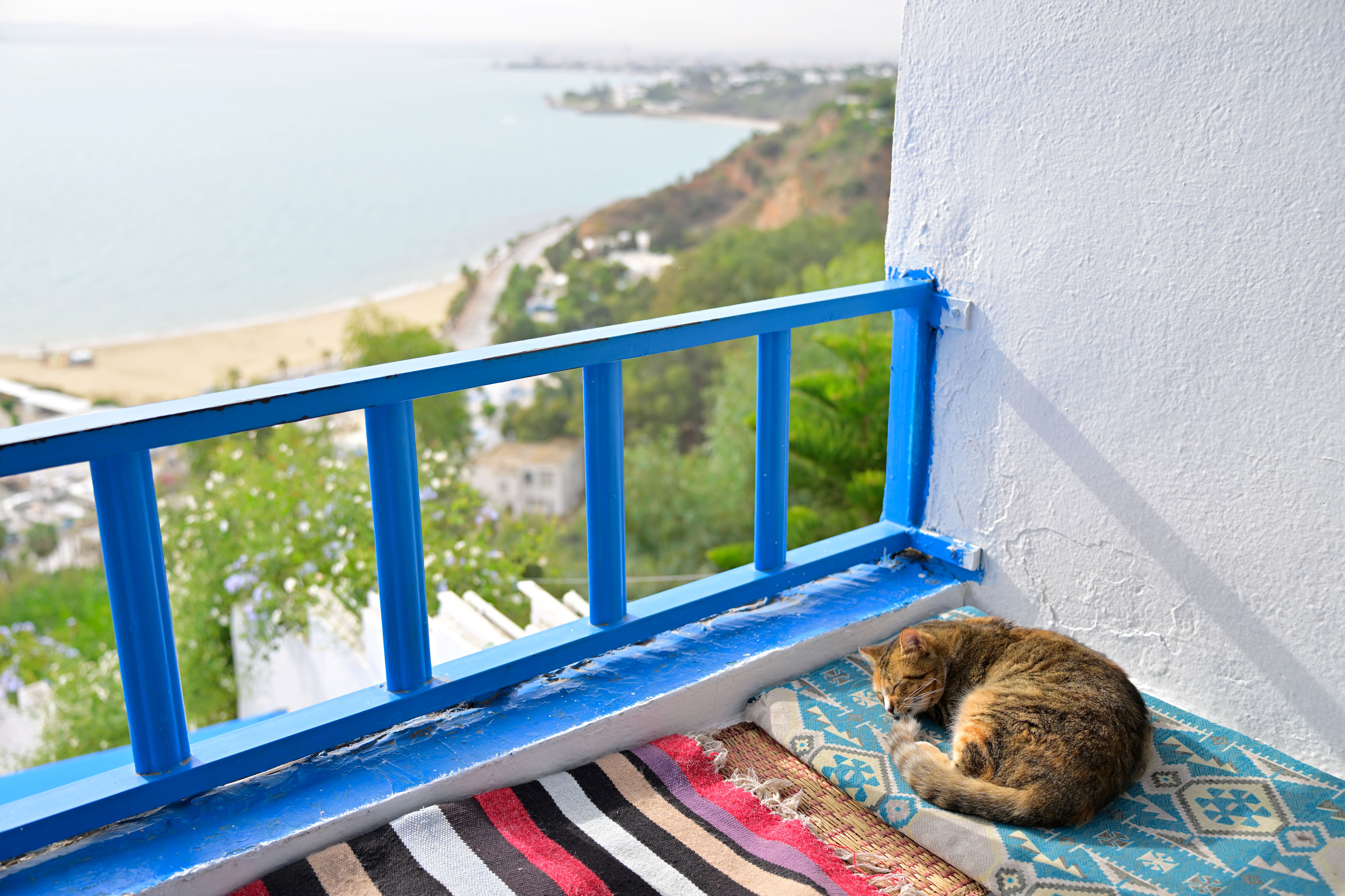 Photography Composition Basics: A Beginner's Guide to Framing, Angles and Better Photos