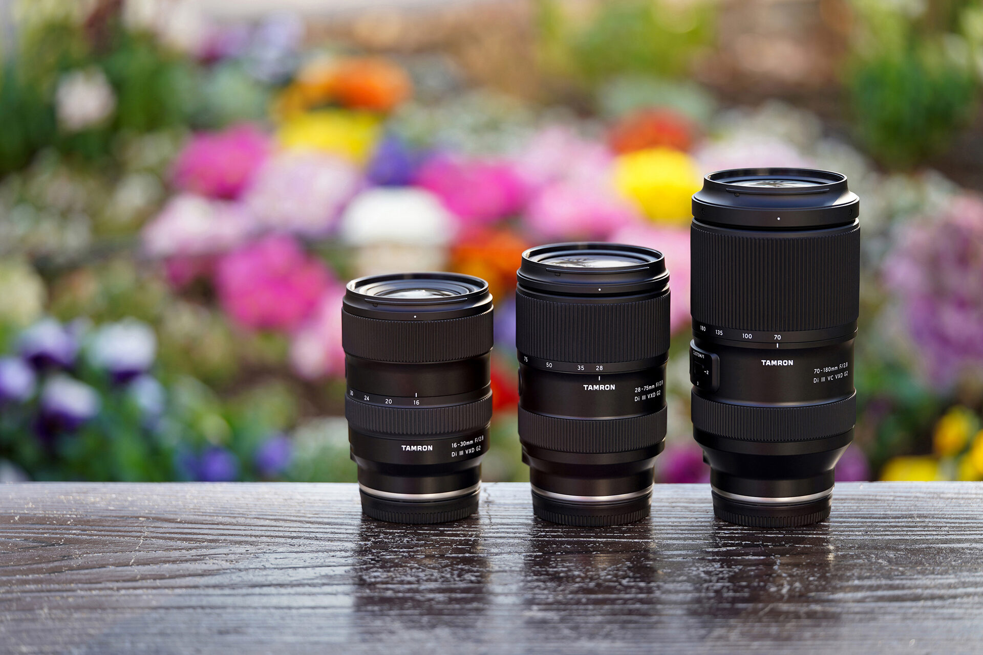 Trinity Lenses: The Complete Guide for Photographers in South Africa