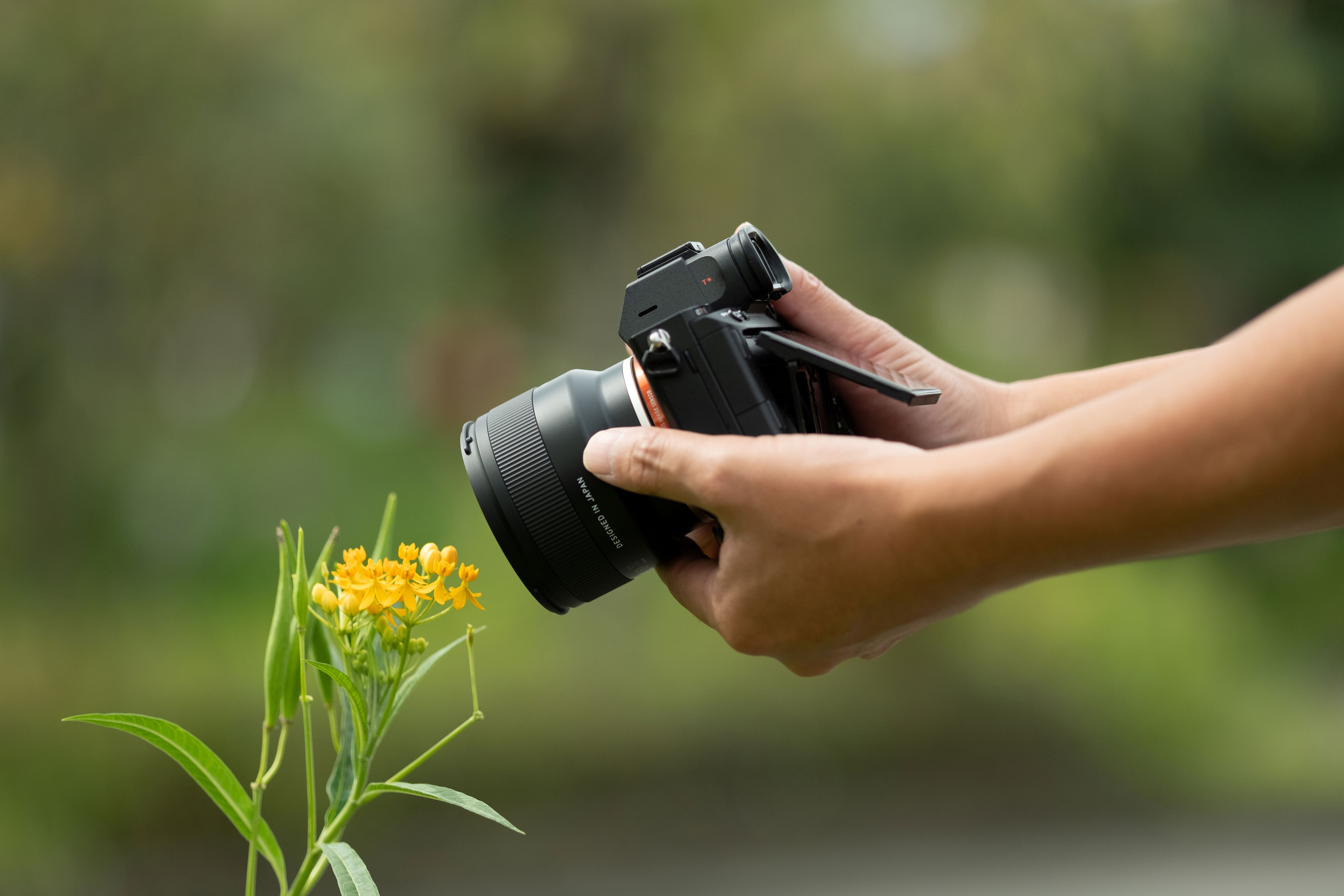 What Is Half Macro? The 1:2 Lens Explained, and How to Use It
