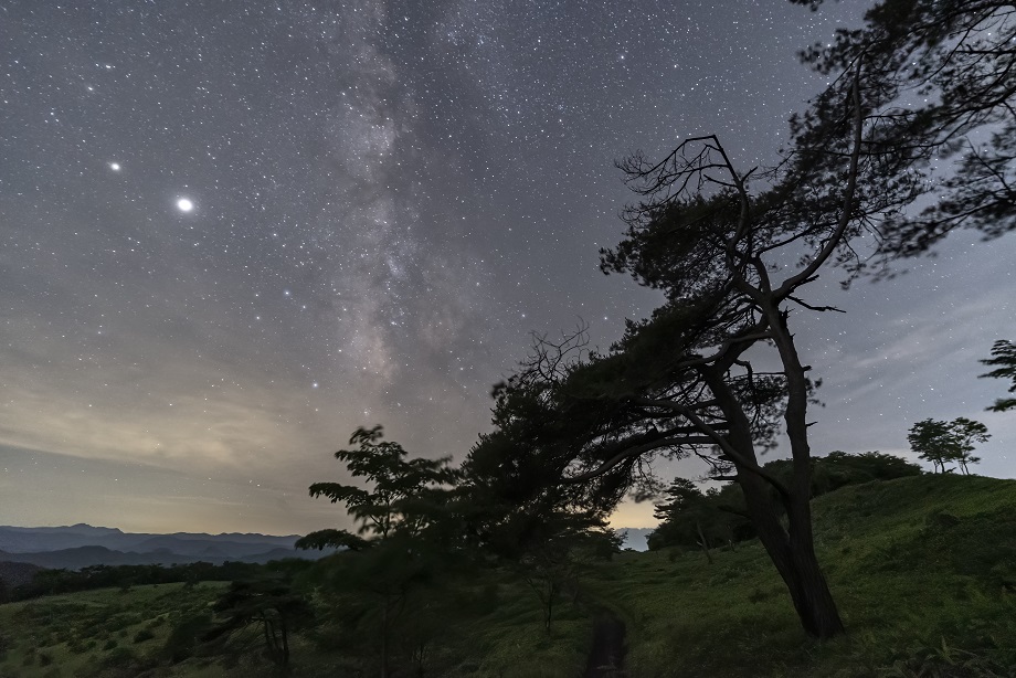 How to Capture Stunning Night Sky Photography in South Africa: Tips, Settings & the Best Lenses
