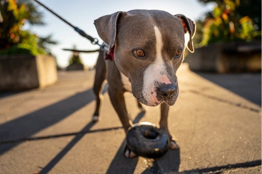 What are camera angles and positions in photography? Practical tips for every scene