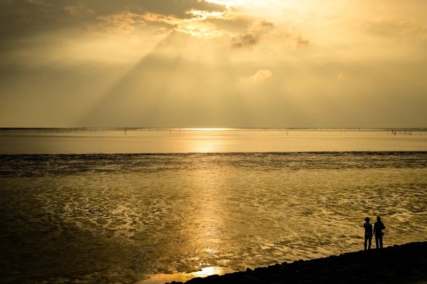 What Is White Balance? Colour Temperature Explained, and How to Use It Creatively