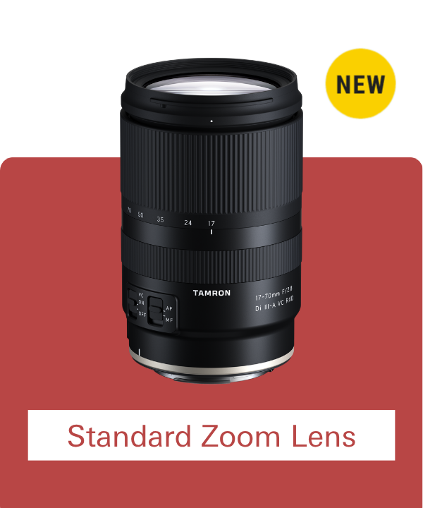 Standard Zoom Lens
