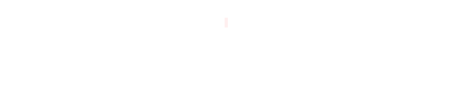 The Ultimate Partner